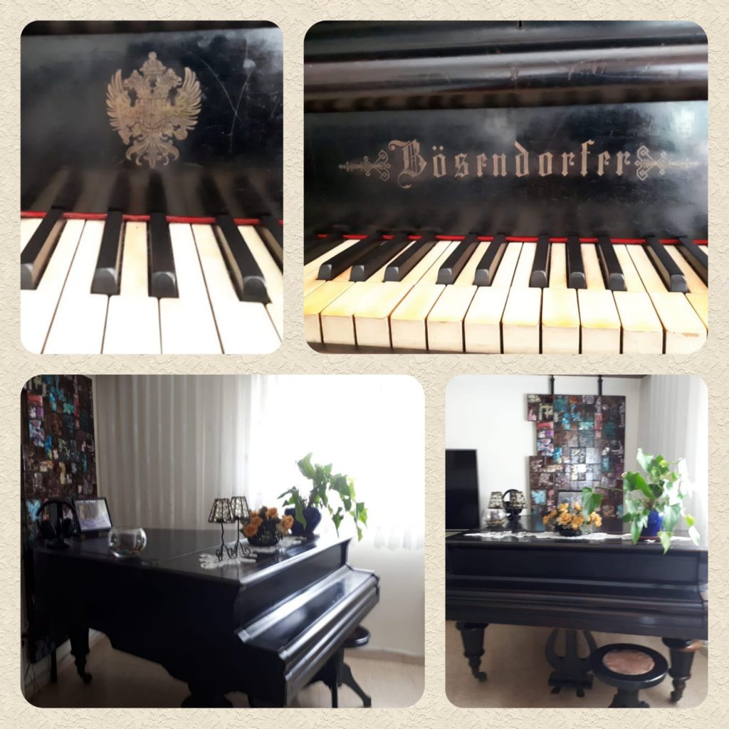 עבודת שורשים ורד by vered - Ourboox.com