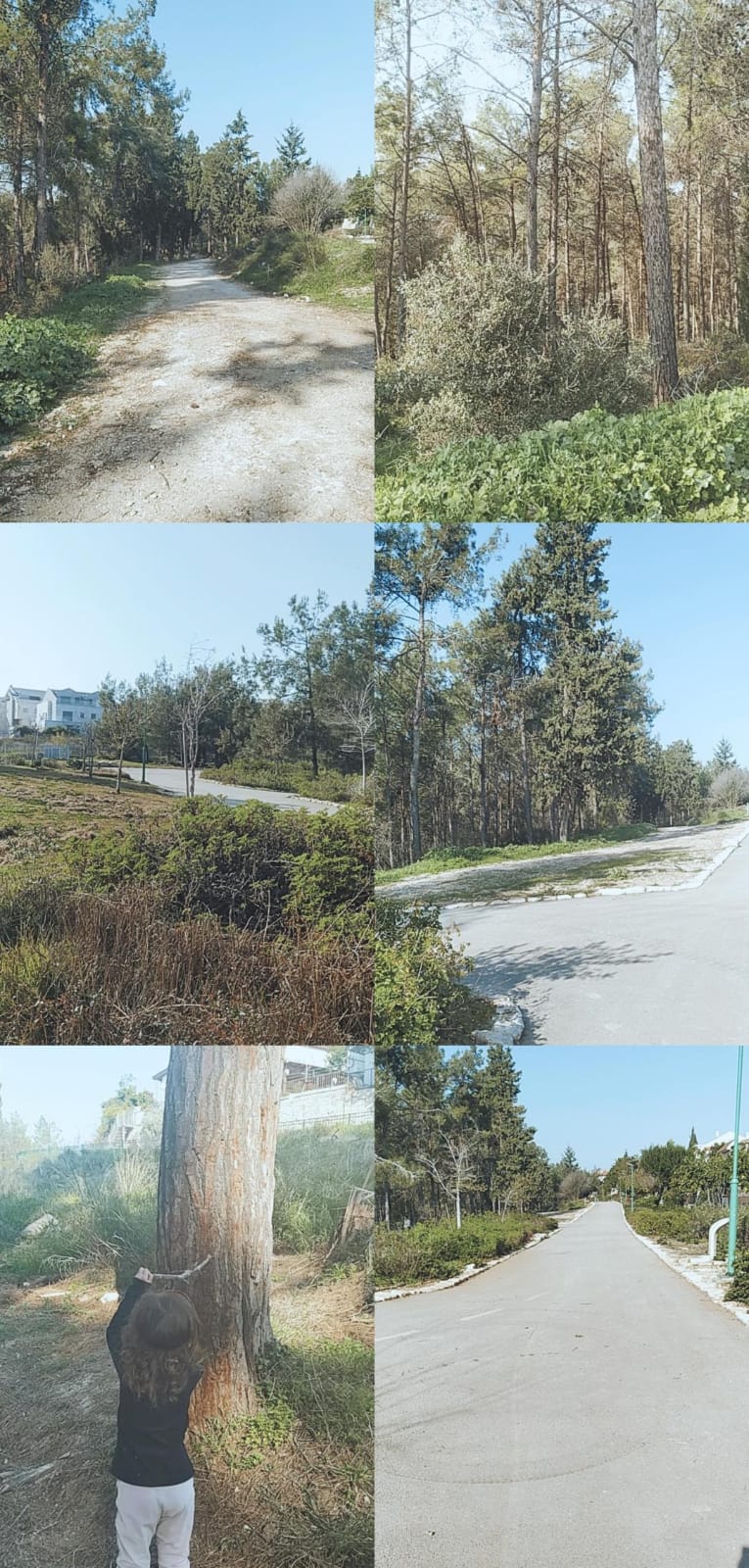 נקודות חן ביקנעם העיר הירוקה שלנו. המלצות תלמידי כיתה ו’1 לבילוי קרוב לבית by maya tavory - Illustrated by כיתה ו