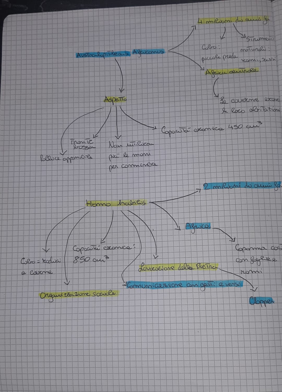 MAPPE by mauro santochirico - Ourboox.com