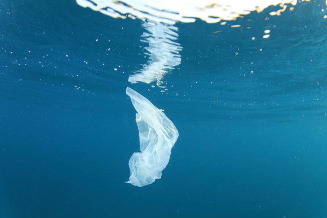 Reuse is not a bad thing by Luca Campesan - Illustrated by Luca Campesan - Ourboox.com