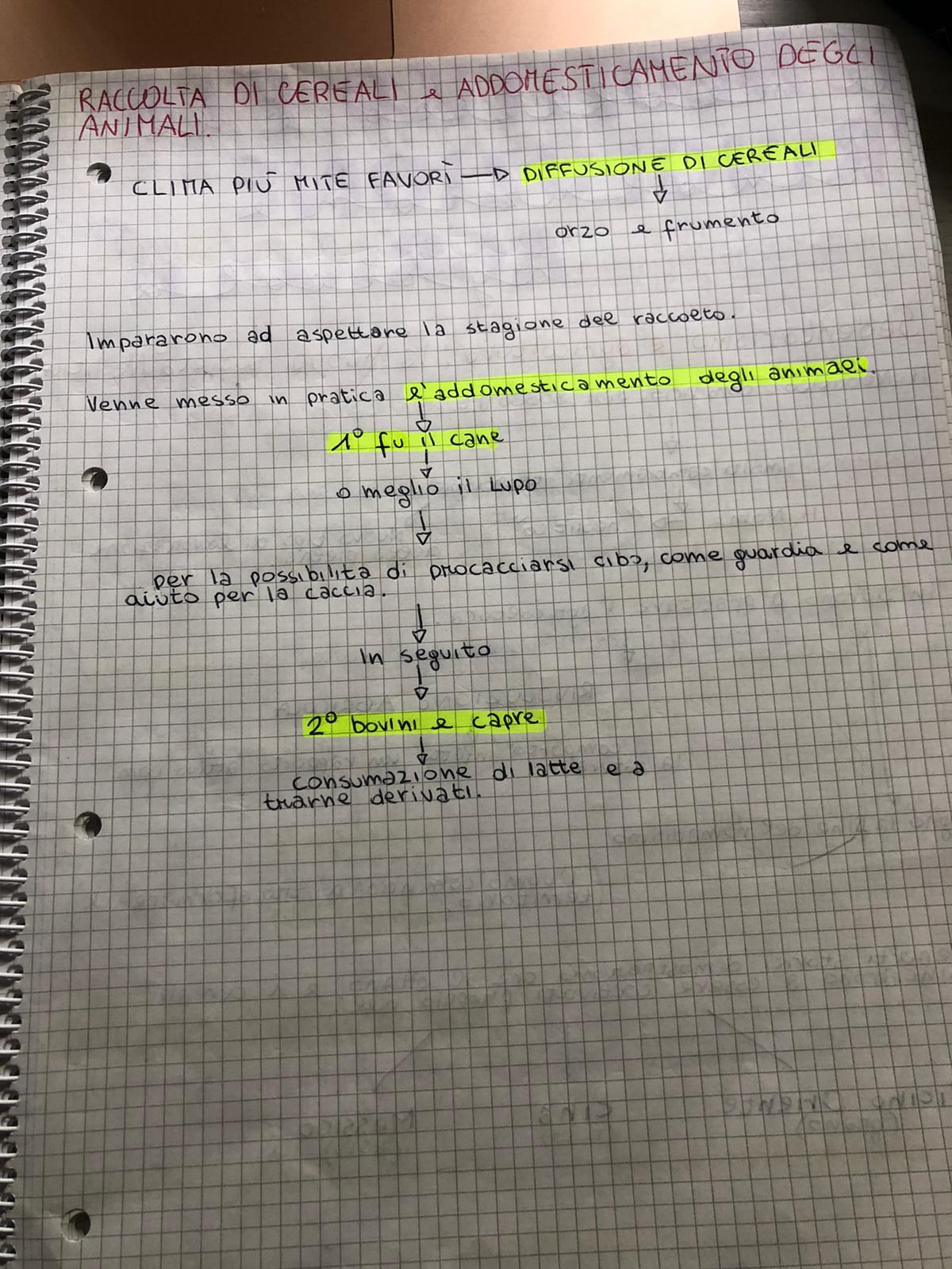 mappe storia by lucia - Ourboox.com