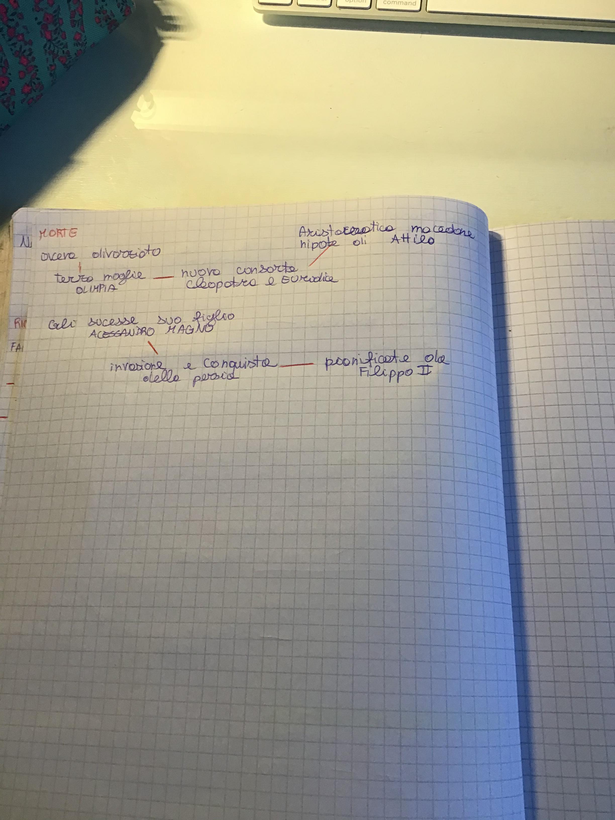 Le mie mappe di storia by Cristina D’Ercole - Ourboox.com