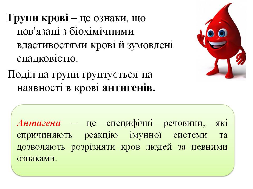 Еритроцити. Групи крові 8кл. by Pidgorodetska Olena - Ourboox.com