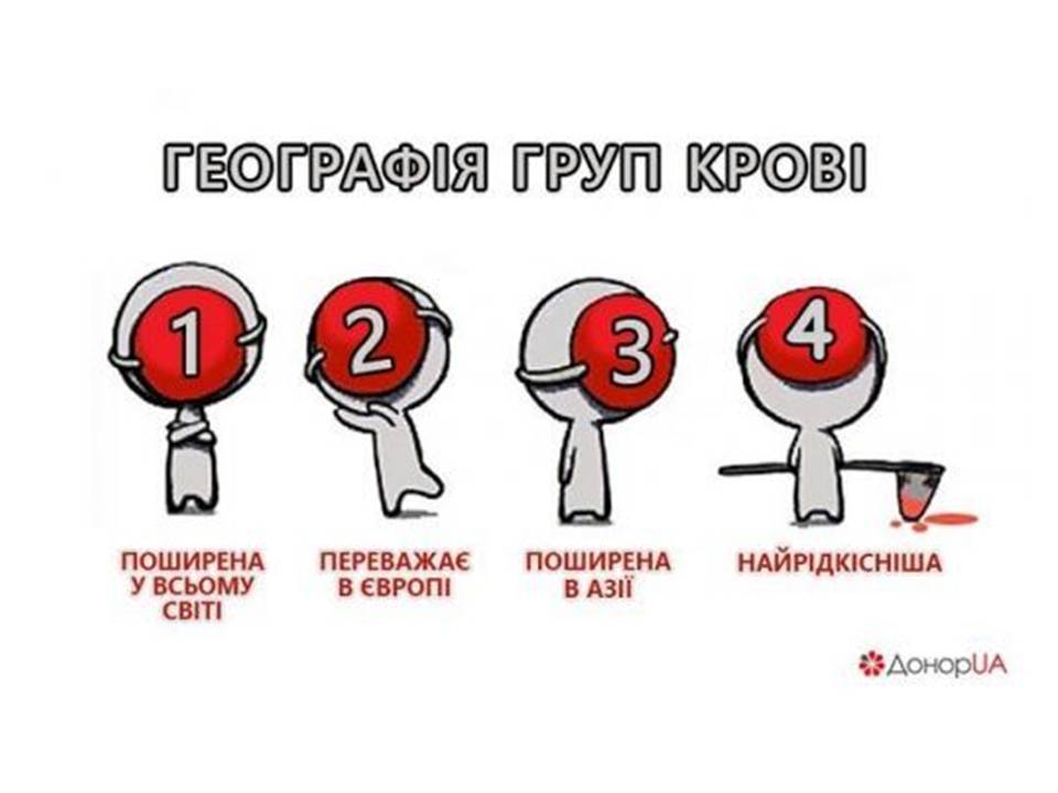 Еритроцити. Групи крові 8кл. by Pidgorodetska Olena - Ourboox.com