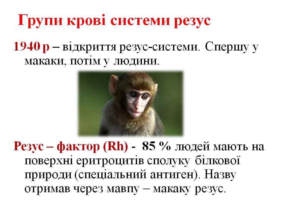 Еритроцити. Групи крові 8кл. by Pidgorodetska Olena - Ourboox.com