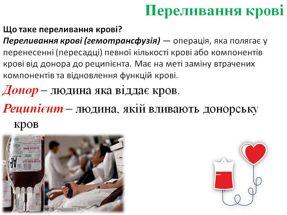 Еритроцити. Групи крові 8кл. by Pidgorodetska Olena - Ourboox.com