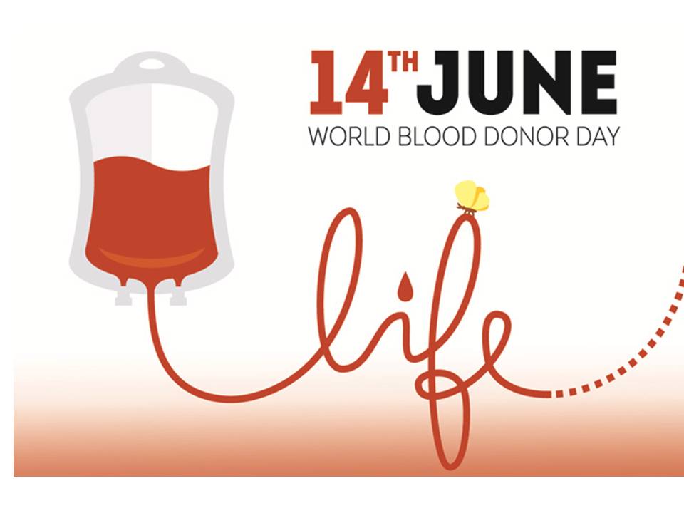 Еритроцити. Групи крові 8кл. by Pidgorodetska Olena - Ourboox.com