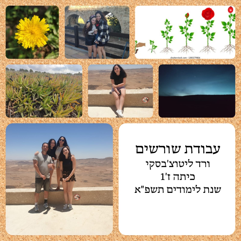 עבודת שורשים ורד by vered - Ourboox.com