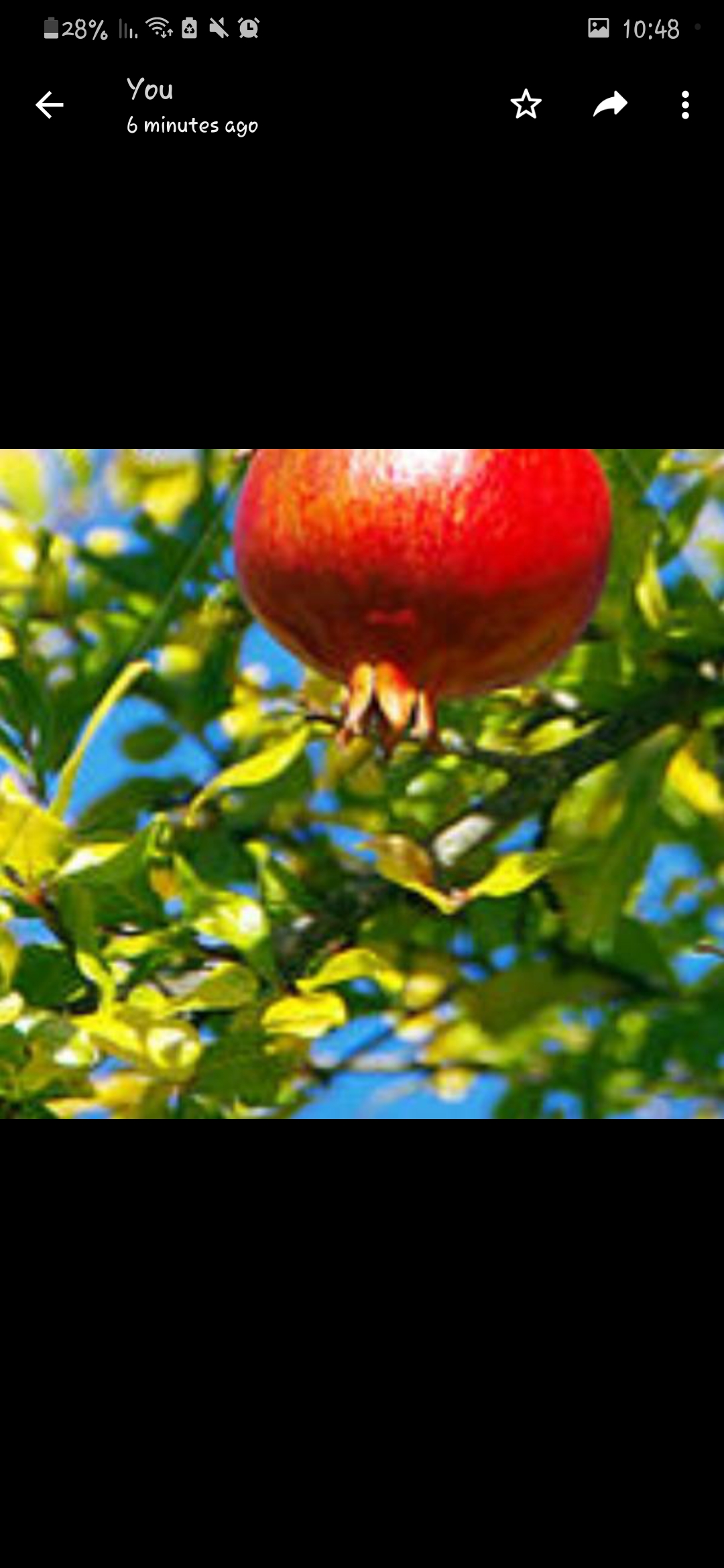 מעיין פלדמן א אומנות by maayan - Ourboox.com