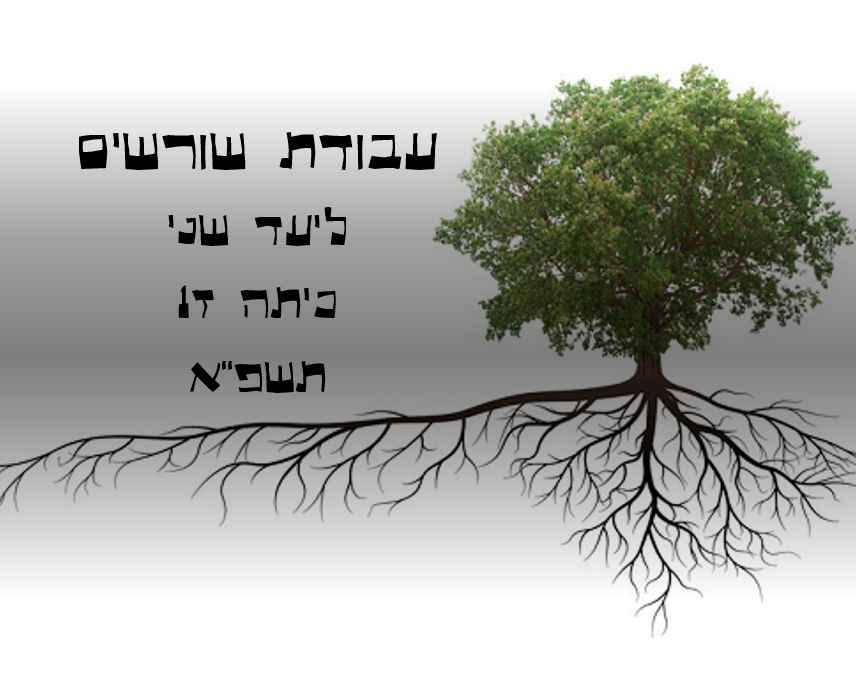 עבודת שורשים by Liad - Ourboox.com