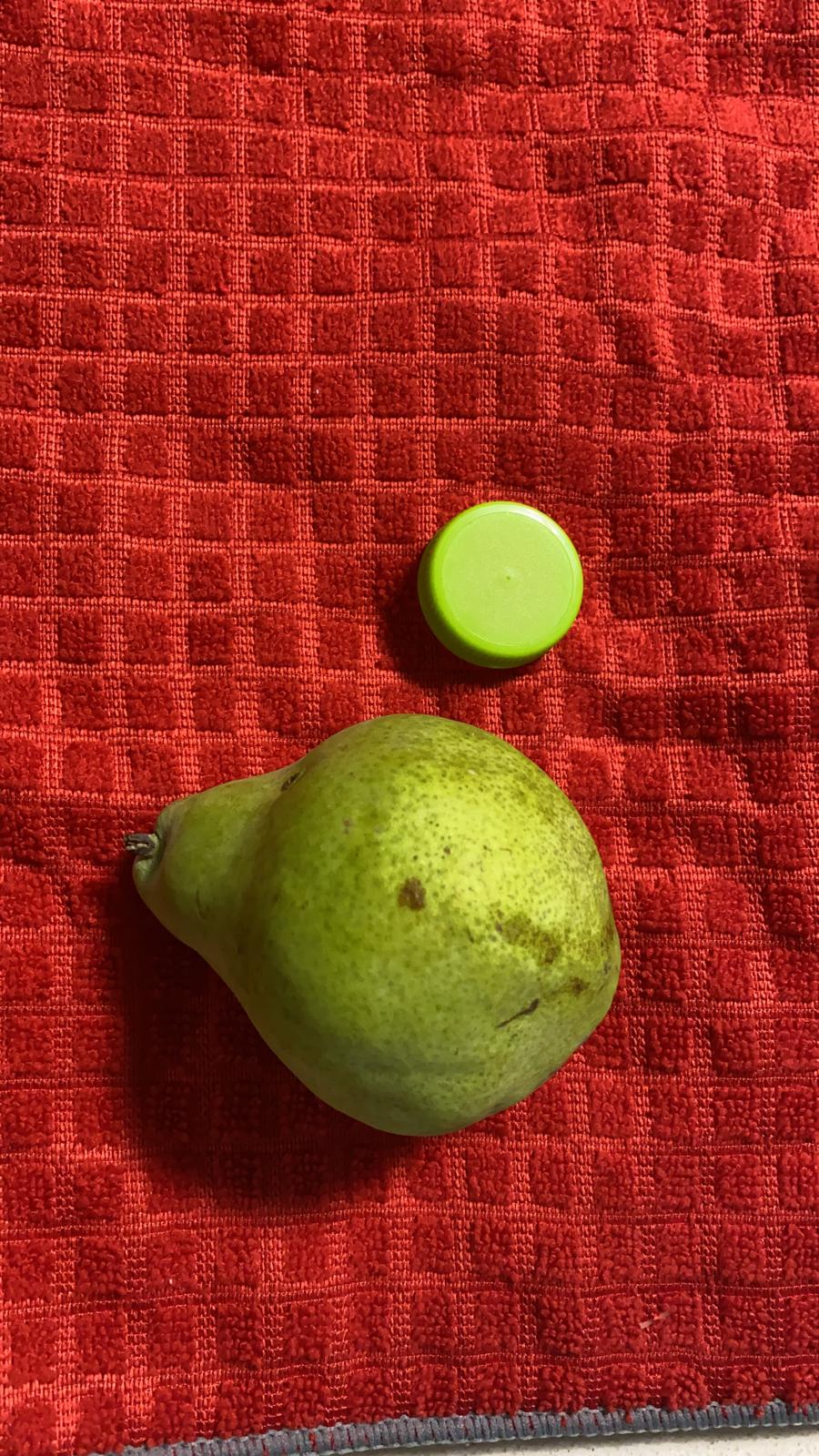 עבודות מחצית א ליטל נחמיה by lital nechemya - Ourboox.com