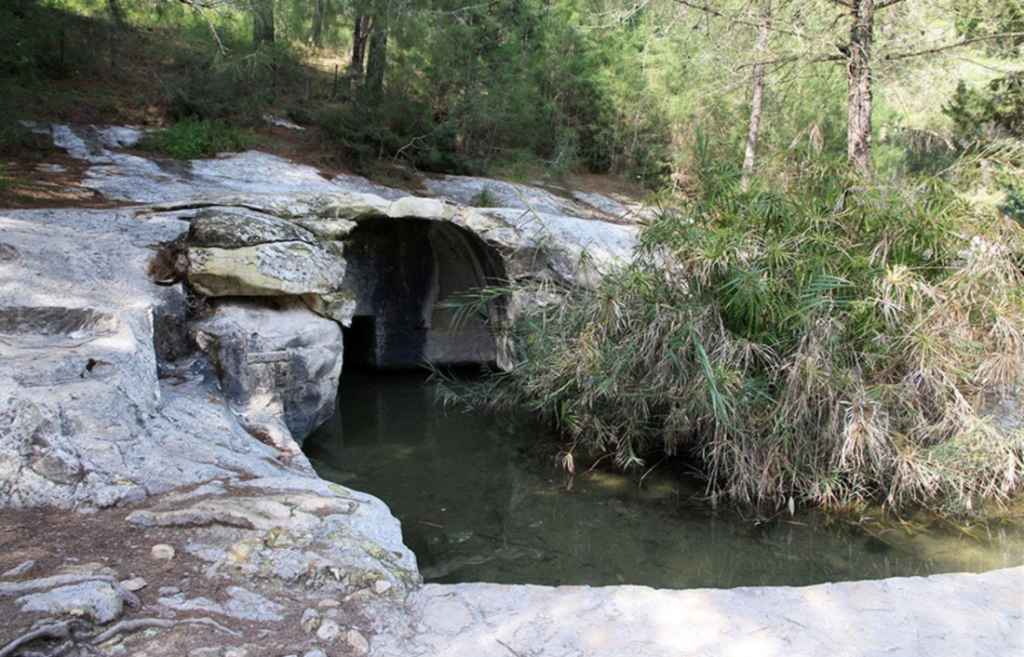 נקודות חן ביקנעם העיר הירוקה שלנו. המלצות תלמידי כיתה ו’1 לבילוי קרוב לבית by maya tavory - Illustrated by כיתה ו