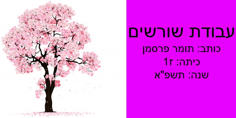 עבודת שורשים תומר פ by Tomer - Ourboox.com