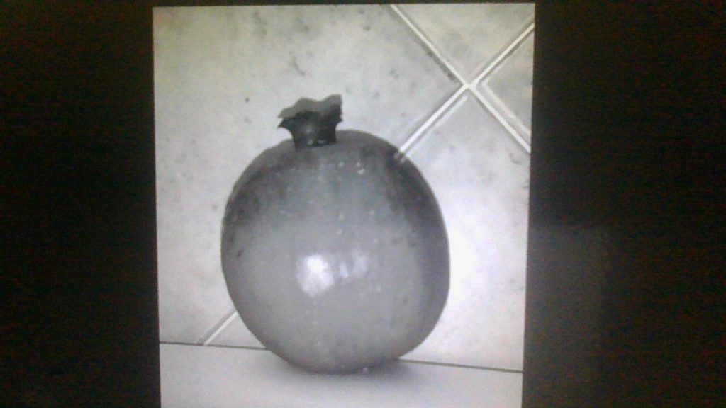 צילום רימון