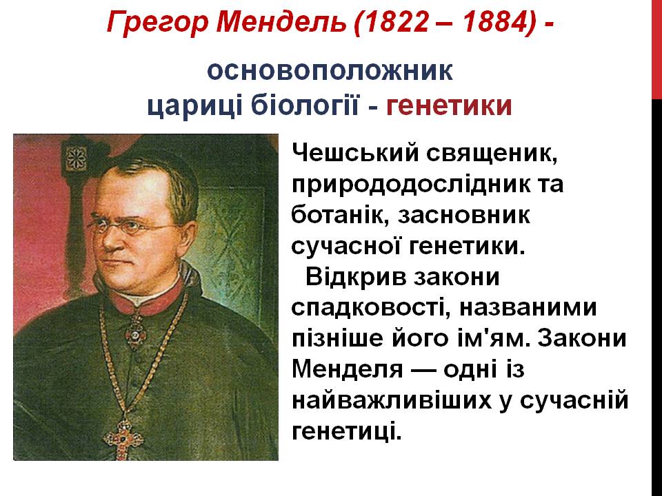 Закони Г. Менделя 9кл. by Pidgorodetska Olena - Ourboox.com