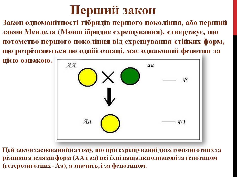Закони Г. Менделя 9кл. by Pidgorodetska Olena - Ourboox.com