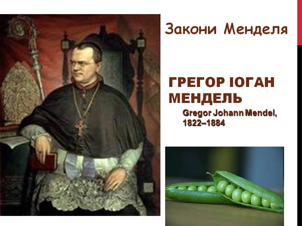 Закони Г. Менделя 9кл. by Pidgorodetska Olena - Ourboox.com