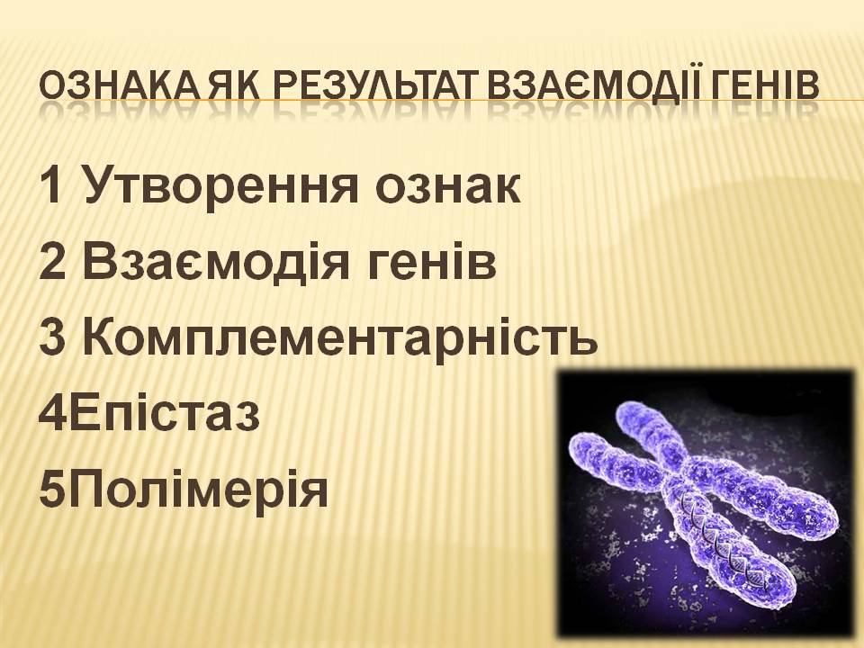 Взаємодія генів.9кл. by Pidgorodetska Olena - Ourboox.com
