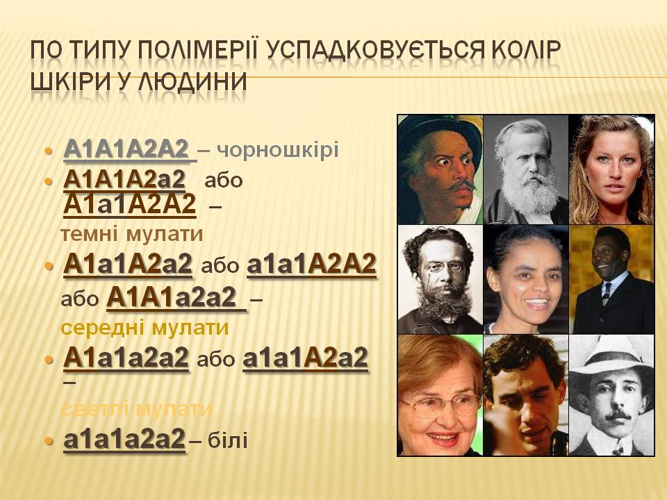 Взаємодія генів.9кл. by Pidgorodetska Olena - Ourboox.com