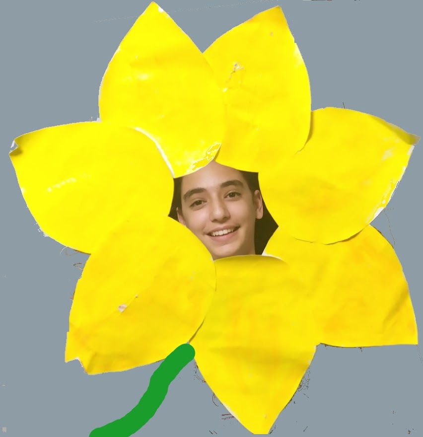 My book by shani - Ourboox.com