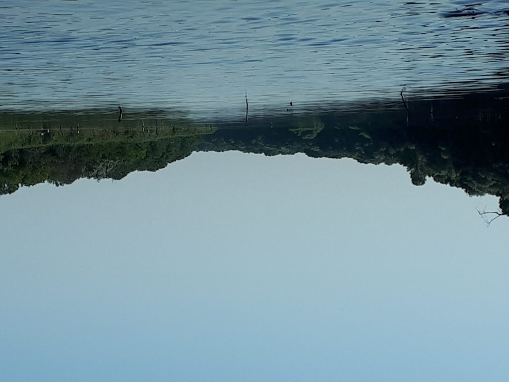 Фотографіїї