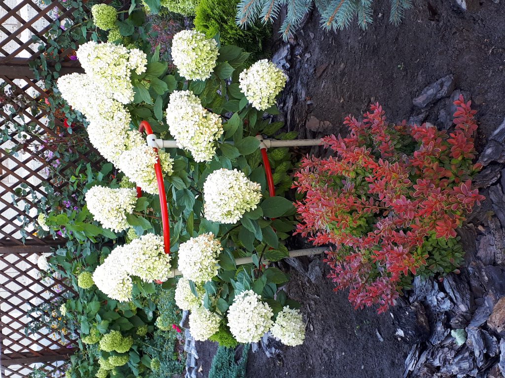 Краса української природи by sveta - Illustrated by Плясецька Світлана Миколаївна - Ourboox.com