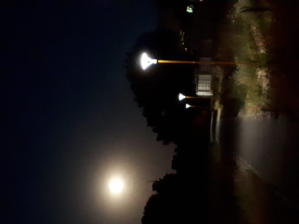 Краса української природи by sveta - Illustrated by Плясецька Світлана Миколаївна - Ourboox.com