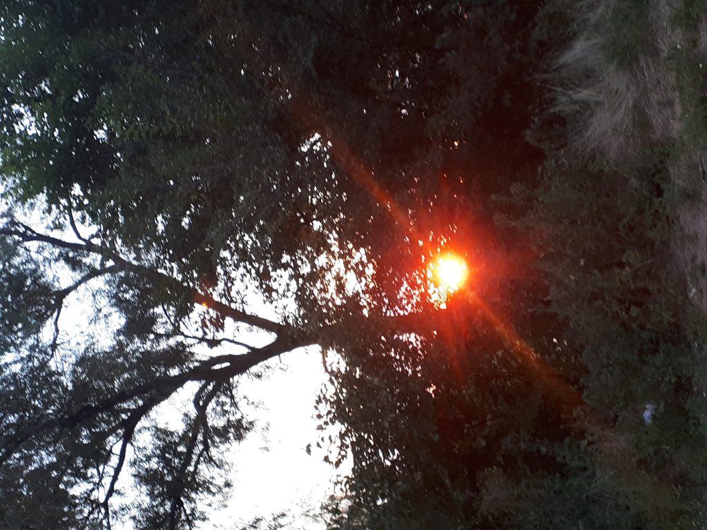 Краса української природи by sveta - Illustrated by Плясецька Світлана Миколаївна - Ourboox.com