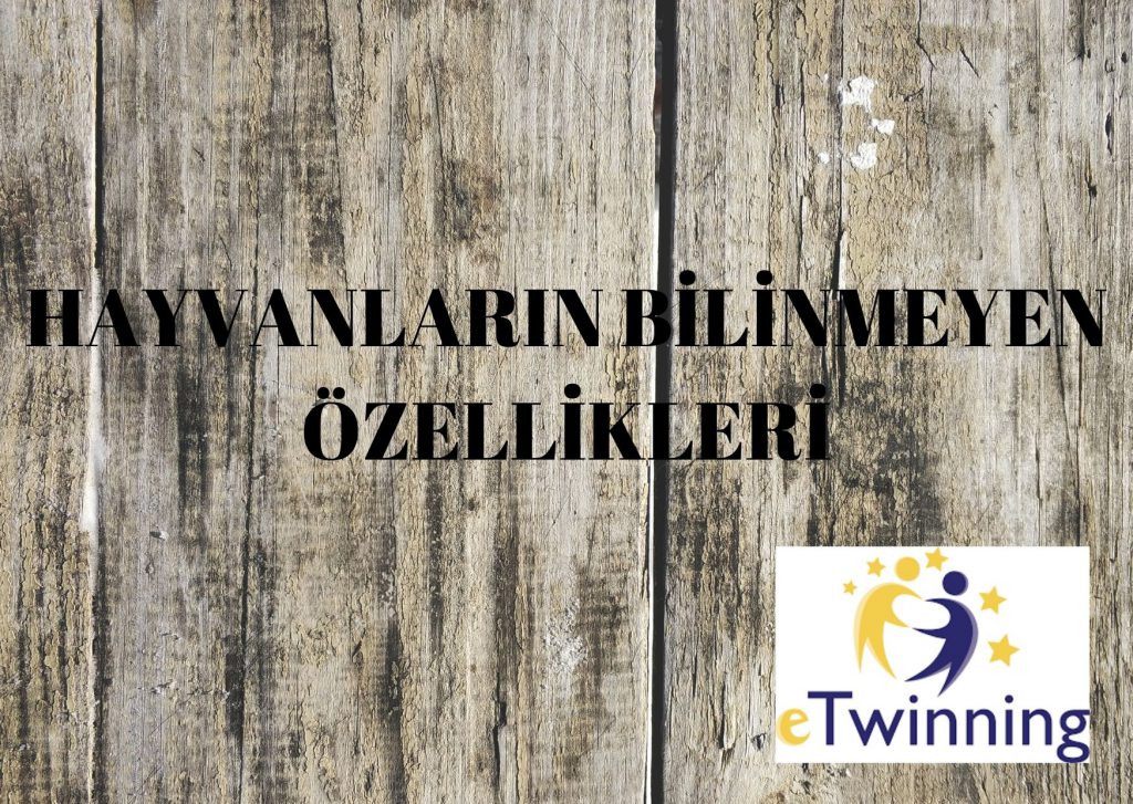 Mektup Arkadaşım by hatice nizamoğlu - Ourboox.com