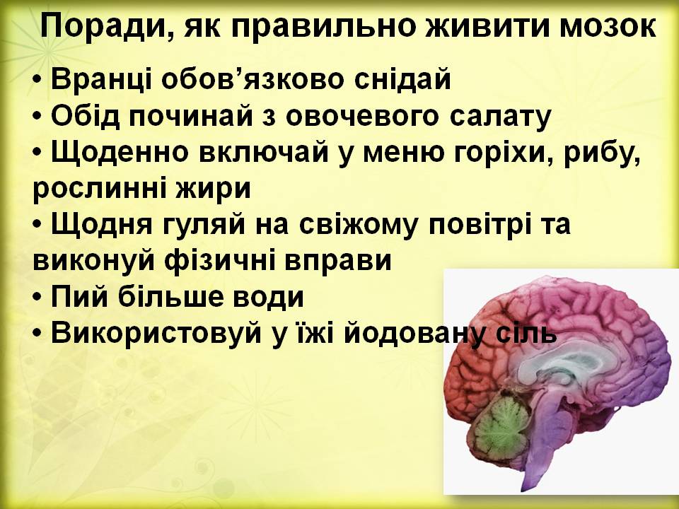 Дивовижний мозок 7кл. by Pidgorodetska Olena - Ourboox.com