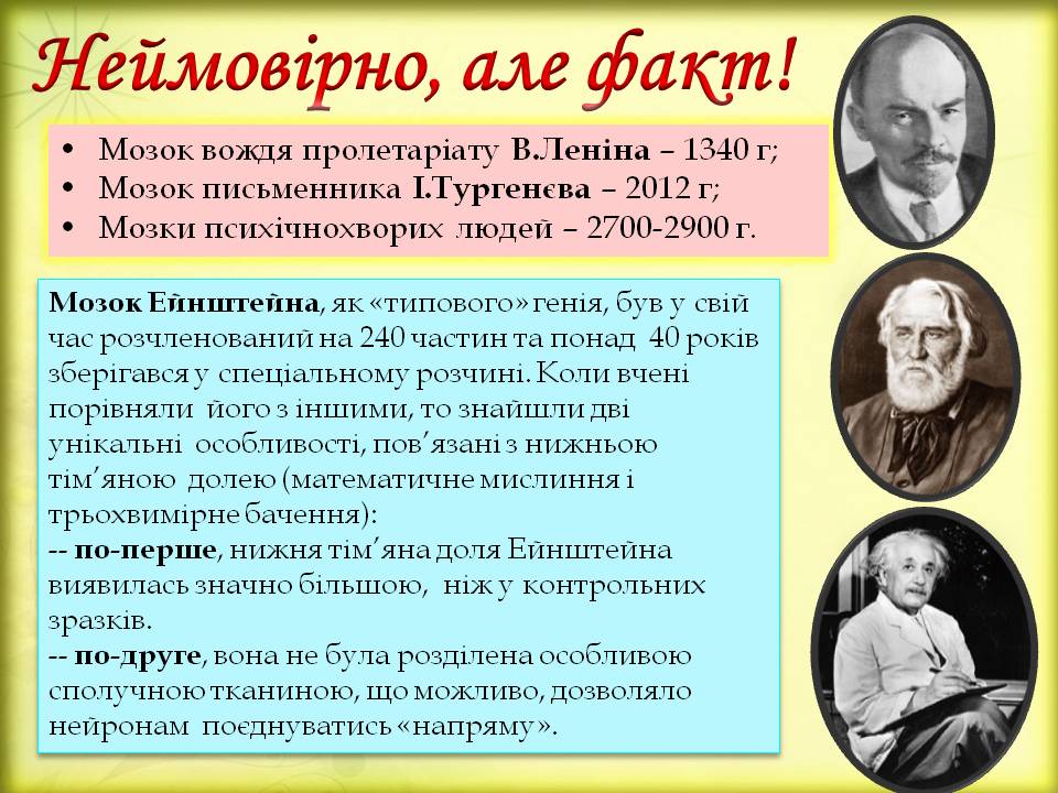 Дивовижний мозок 7кл. by Pidgorodetska Olena - Ourboox.com