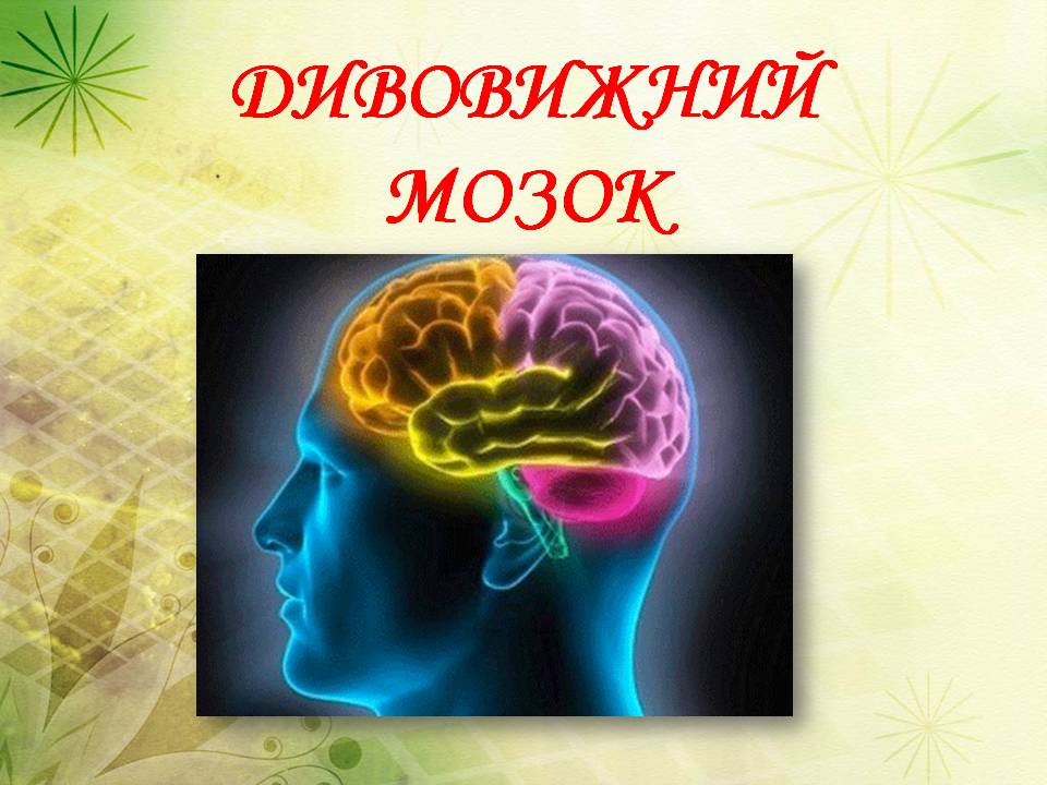 Дивовижний мозок 7кл. by Pidgorodetska Olena - Ourboox.com