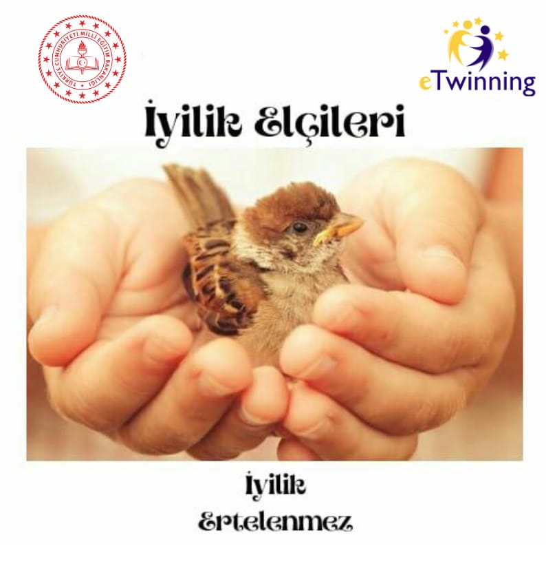 IYILIK ELCILERI PROJE MASKOT SECIM ANKETI SONUC KİTAPCIGI by nil gök - Ourboox.com