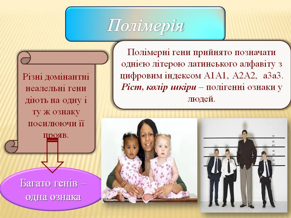 Взаємодія генів.9кл. by Pidgorodetska Olena - Ourboox.com