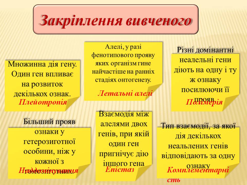 Взаємодія генів.9кл. by Pidgorodetska Olena - Ourboox.com