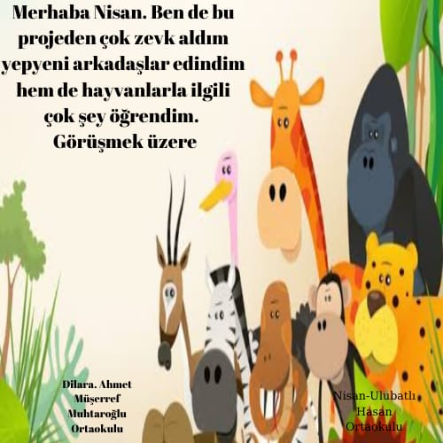 Mektup Arkadaşım by Behiye Yabancı - Illustrated by Behiye Yabancı - Ourboox.com