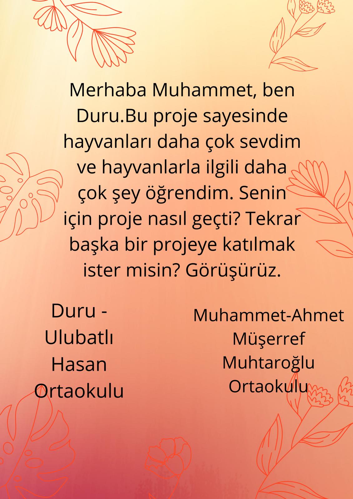 Mektup Arkadaşım by Behiye Yabancı - Illustrated by Behiye Yabancı - Ourboox.com