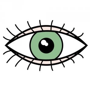 חמשת החושים by shaked ladell - Ourboox.com