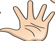 חמשת החושים by shaked ladell - Ourboox.com