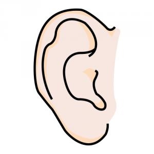 חמשת החושים by shaked ladell - Ourboox.com