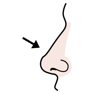 חמשת החושים by shaked ladell - Ourboox.com