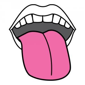 חמשת החושים by shaked ladell - Ourboox.com