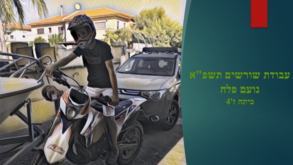 עבודת שורשים נועם פלח by noam falach - Ourboox.com