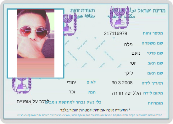 עבודת שורשים נועם פלח by noam falach - Ourboox.com