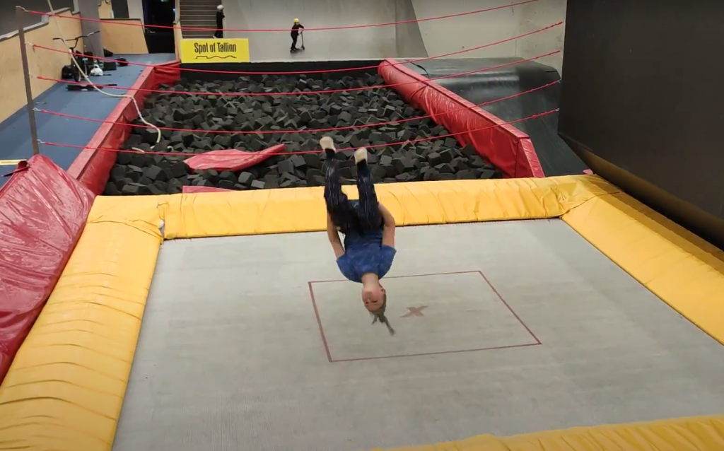 Mina ja mu pere by Raul Toim - Ourboox.com