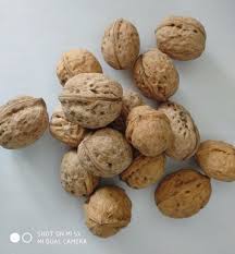 البذور by shireen obidat - Illustrated by شيرين عبيدات  - Ourboox.com