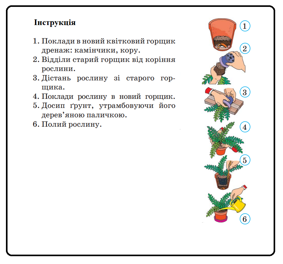 Алгоритми, види алгоритмів by I - Ourboox.com