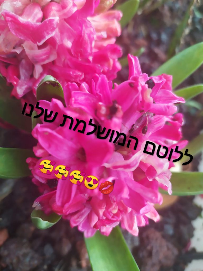 my book by shani - Ourboox.com