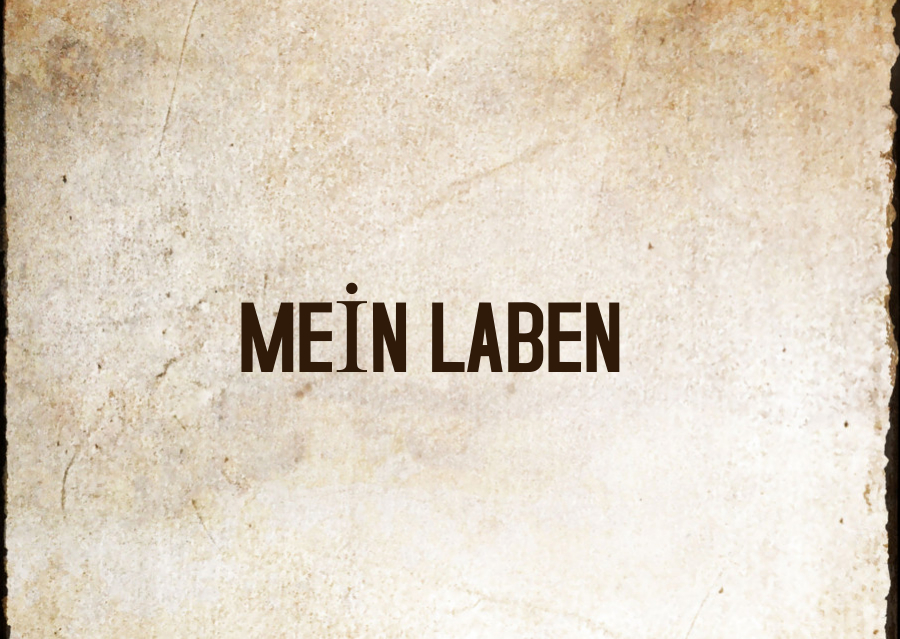 MEİN LEBEN by Fadik Aleyna Işık - Illustrated by MEİN LEBEN - Ourboox.com