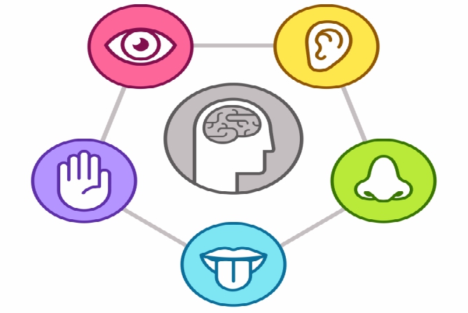 השיח בין טכנולוגיה לפדגוגיה א’- תלקיט משימות אישי by roni - Ourboox.com